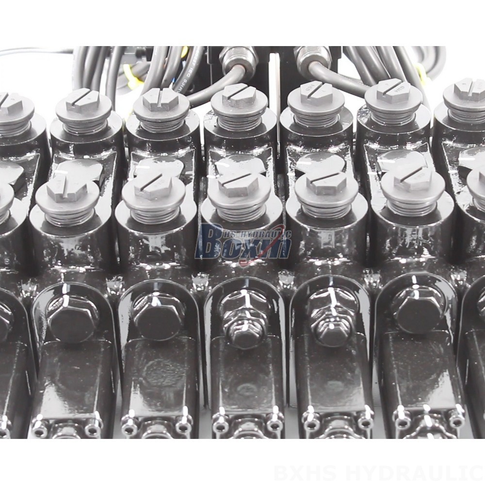 Customizable DCV150-10-NPT Hydraulic Valves - OEM, ODM & Private Label Services detail image